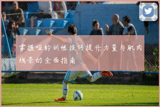 掌握哑铃训练技巧提升力量与肌肉线条的全面指南
